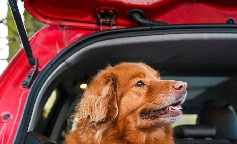 här fungerar en gasfjäder som hållare till bakluckan på bilen